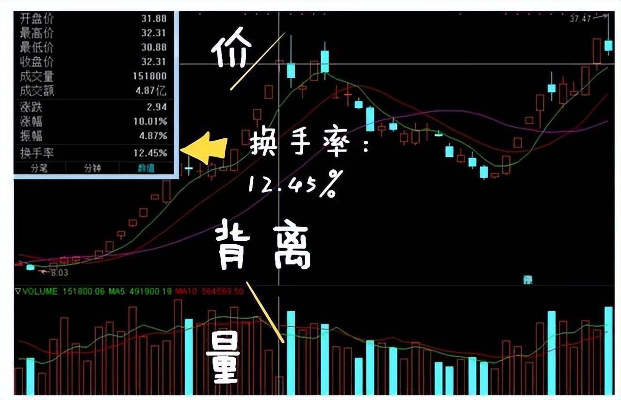 北大女博士说破股市炒股只看换手率就足够稳定盈利不是问题