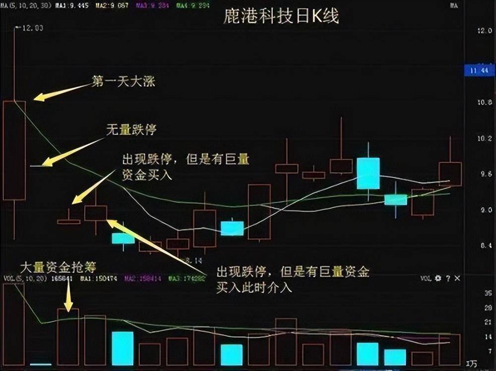 中国股市炒股发财的永远只有一种人！深度好文