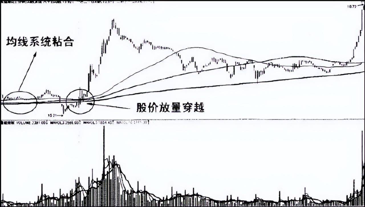中国永远赚钱的一种人简单的事情重复做价值连城的炒股哲学