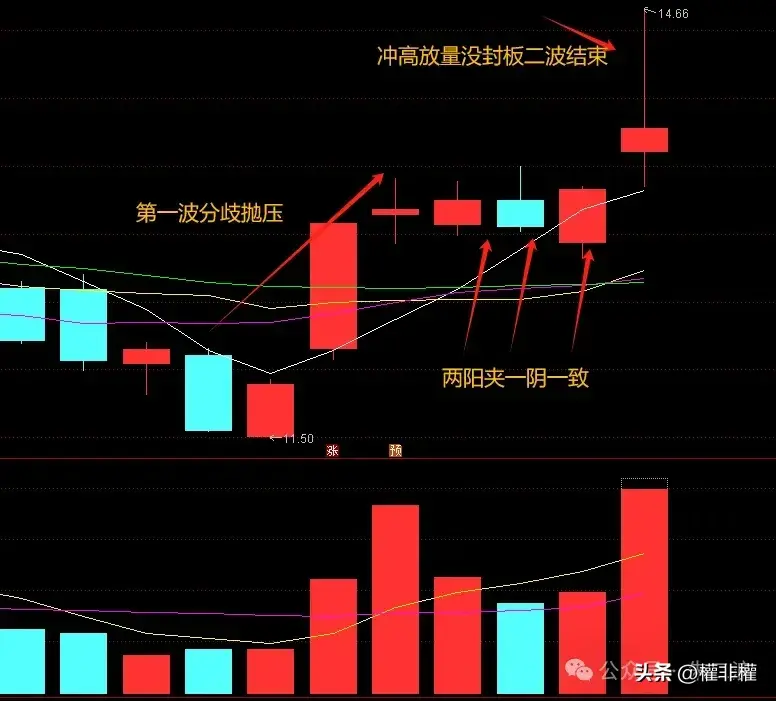选对主线注意分化