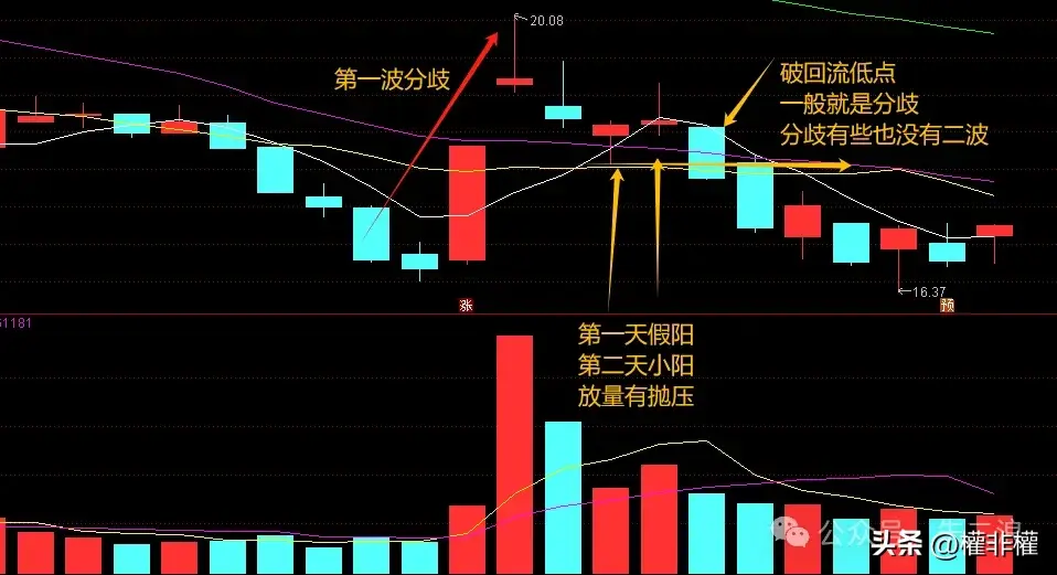 干货精华篇假阳也是承接放量是分歧