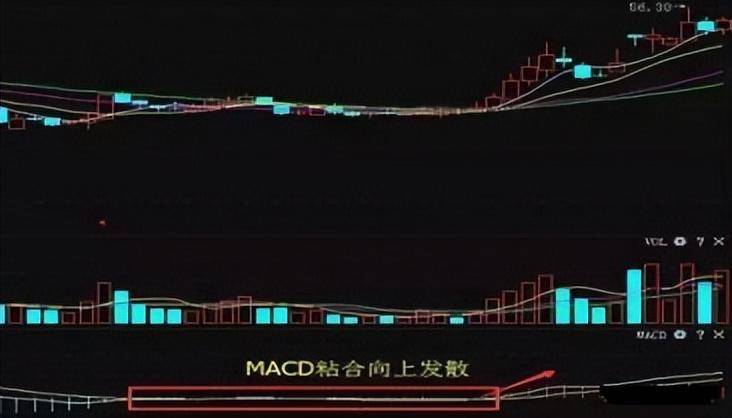 深藏不露的75岁北京股神告诉你死磕一个指标炒股一辈子不会输
