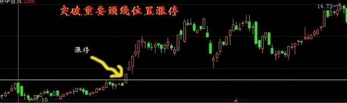 中国真正厉害的一种人做一个安静的投资者一辈子牢记十六个字