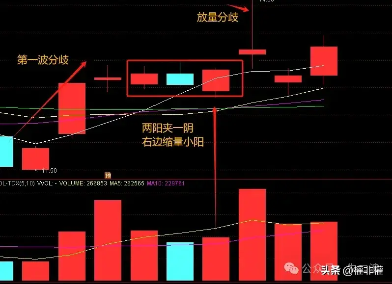 二波精华版散户如何找到一致