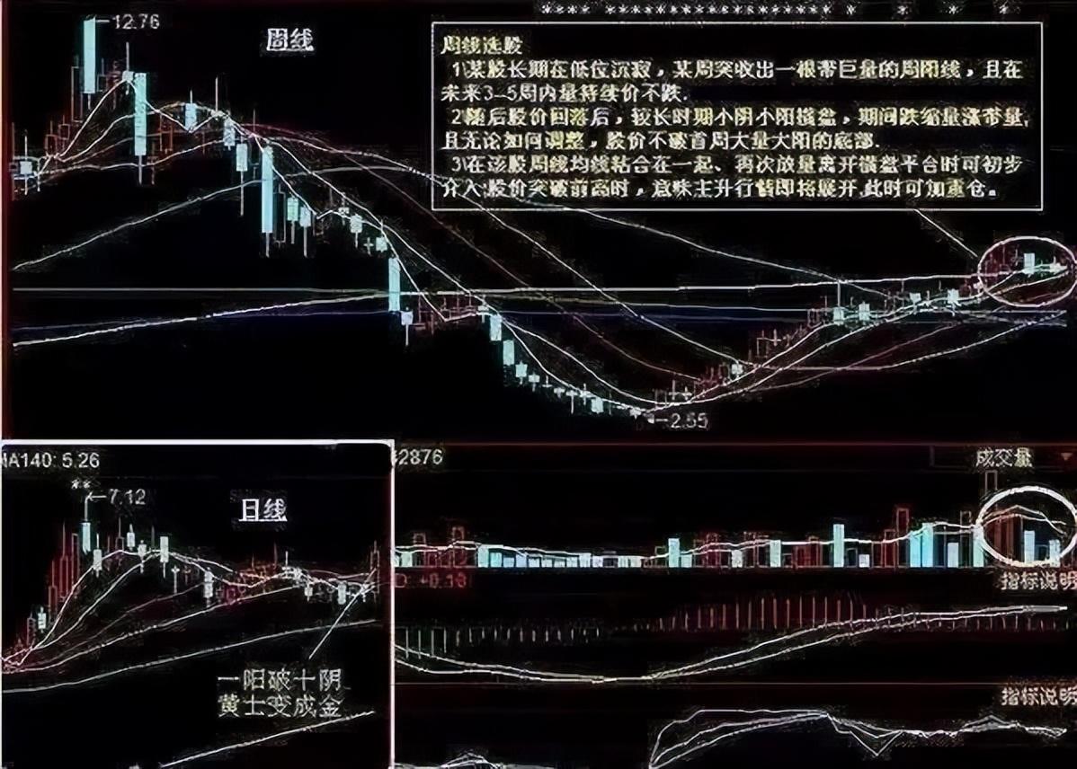 巴菲特点破中国股市长期坚持周线选股从未失手建议收藏