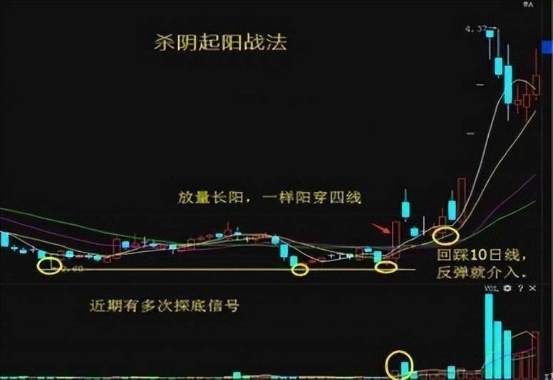 股神巴菲特劝世良言涨三不追跌四不压几乎吃掉持股全部涨幅