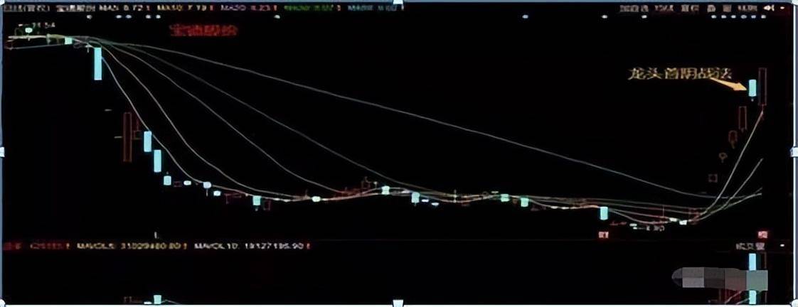 股神巴菲特劝世良言涨三不追跌四不压几乎吃掉持股全部涨幅