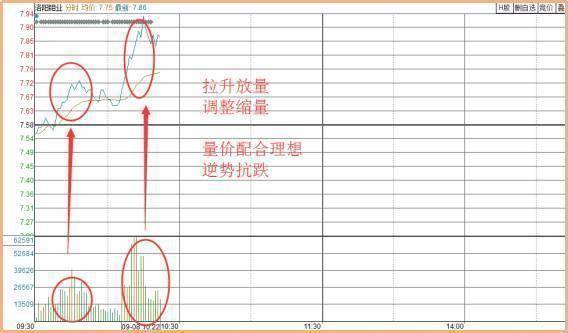 中国股市里赚钱的一种人黄线上方6格卖出黄线下方4格买入
