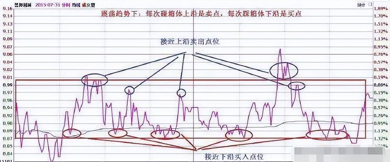北大一金融女博士坦言在中国股市能赚钱的只有一种人深度好文