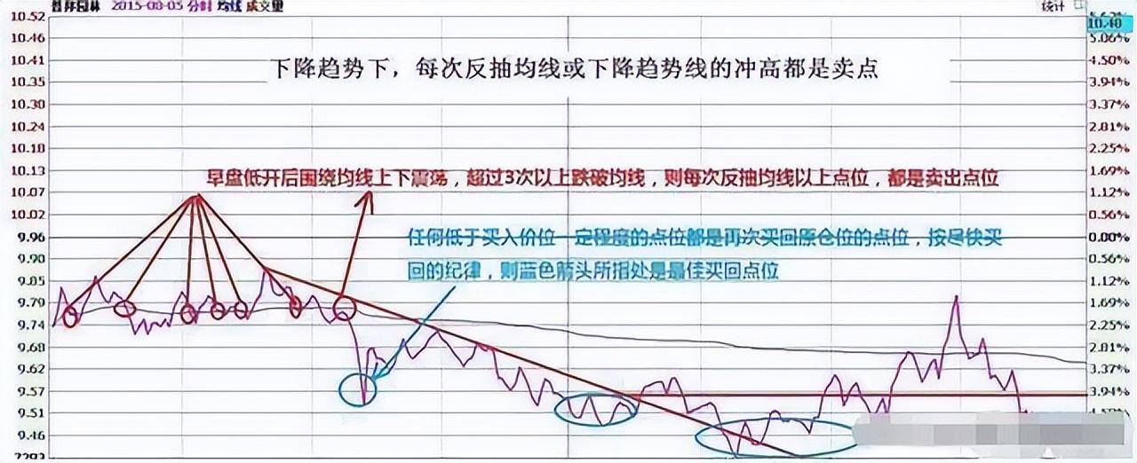 北大一金融女博士坦言在中国股市能赚钱的只有一种人深度好文