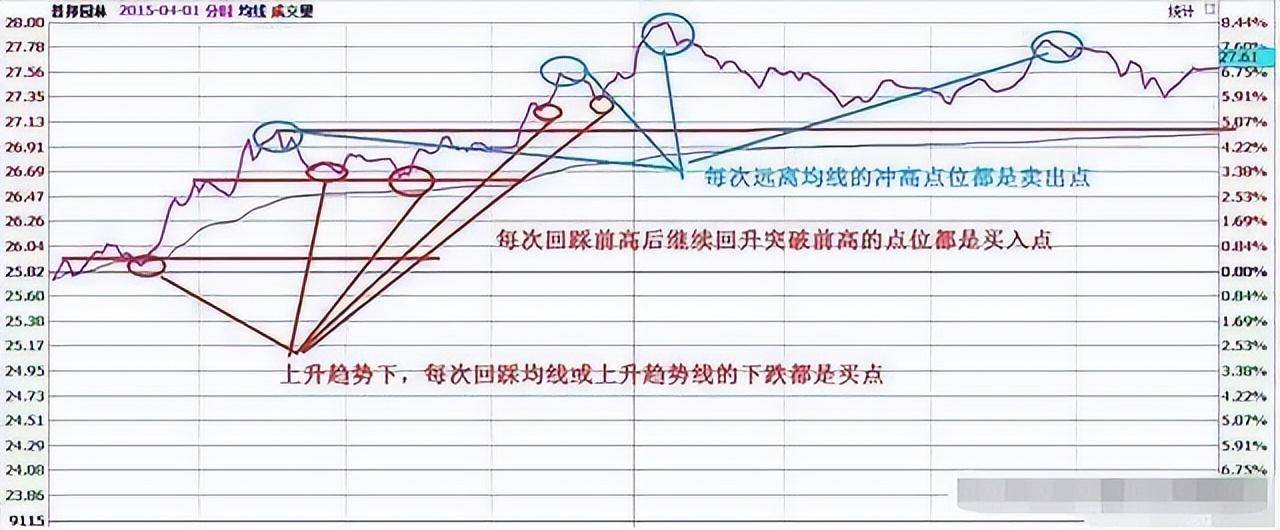北大一金融女博士坦言在中国股市能赚钱的只有一种人深度好文
