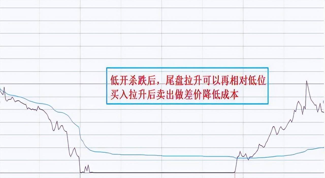 北大一金融女博士坦言在中国股市能赚钱的只有一种人深度好文