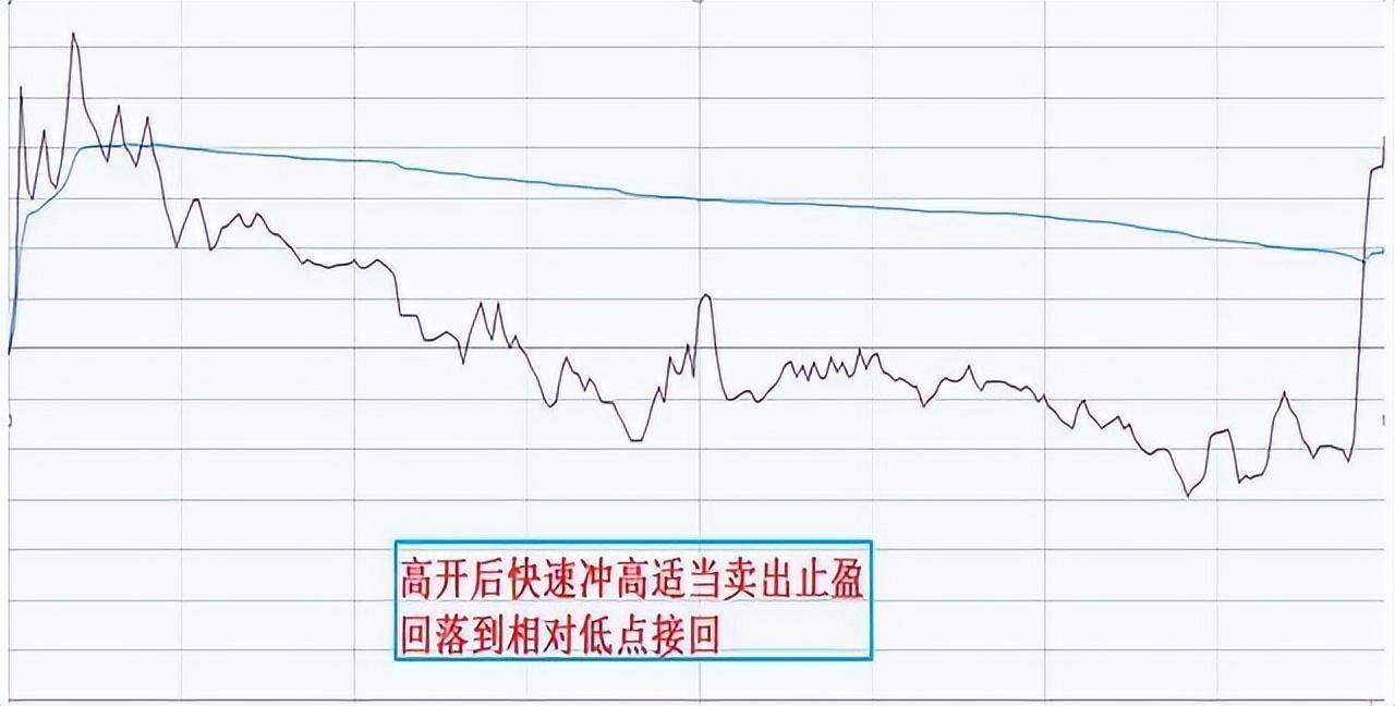 北大一金融女博士坦言在中国股市能赚钱的只有一种人深度好文