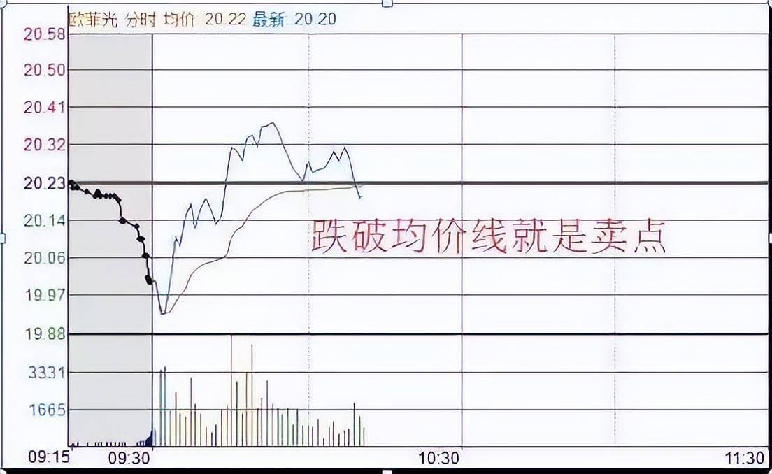北大一金融女博士坦言在中国股市能赚钱的只有一种人深度好文