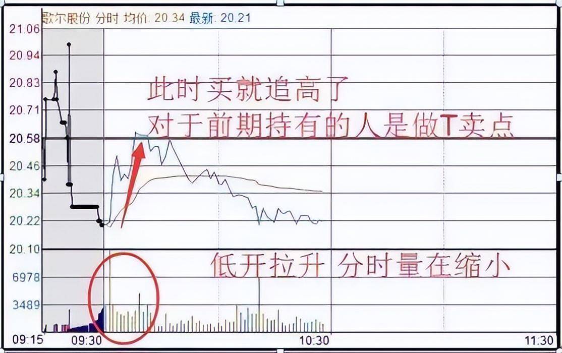 北大一金融女博士坦言在中国股市能赚钱的只有一种人深度好文