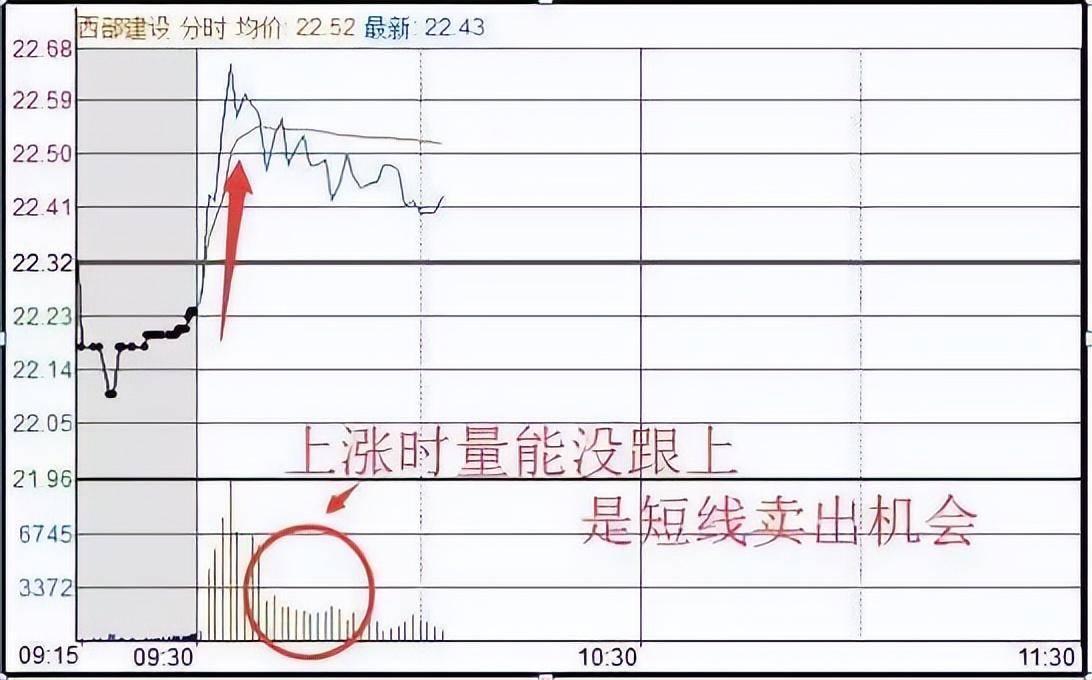 北大一金融女博士坦言在中国股市能赚钱的只有一种人深度好文