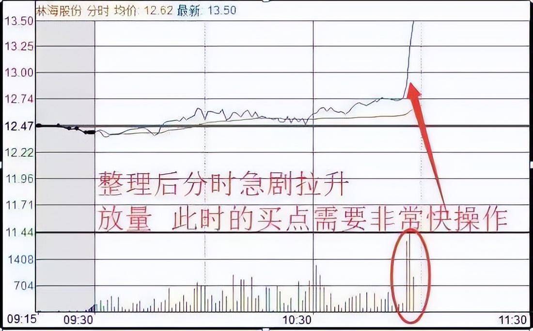 北大一金融女博士坦言在中国股市能赚钱的只有一种人深度好文