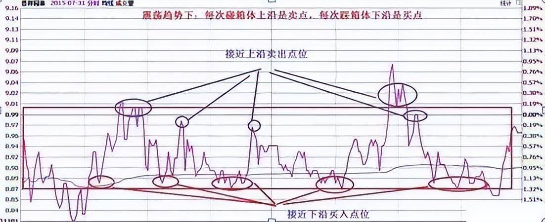 北大一金融女博士坦言在中国股市能赚钱的只有一种人深度好文