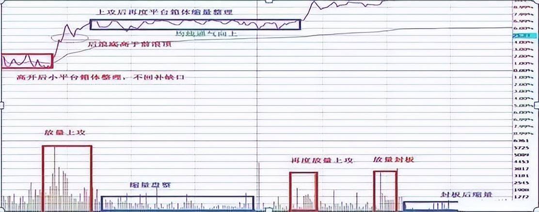 北大一金融女博士坦言在中国股市能赚钱的只有一种人深度好文