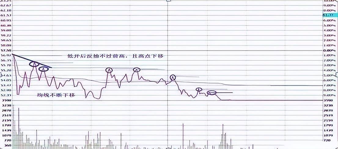 北大一金融女博士坦言在中国股市能赚钱的只有一种人深度好文