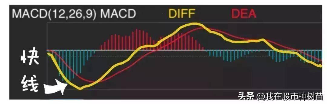 指标之王MACD隐藏技巧一