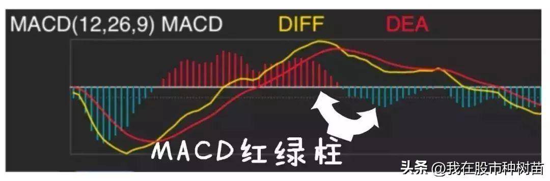 指标之王MACD隐藏技巧一