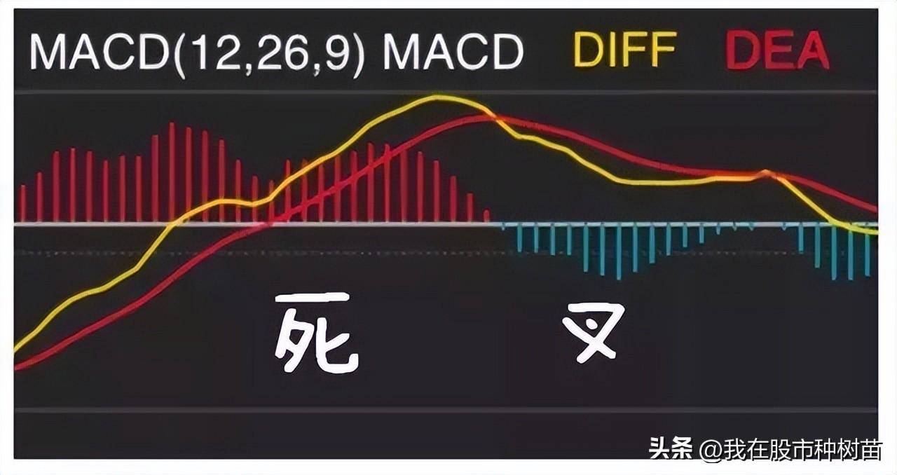 指标之王MACD隐藏技巧一