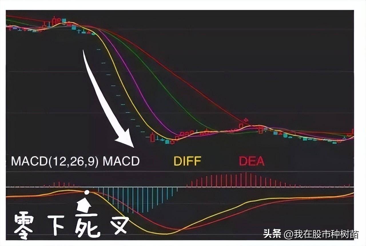 指标之王MACD隐藏技巧一