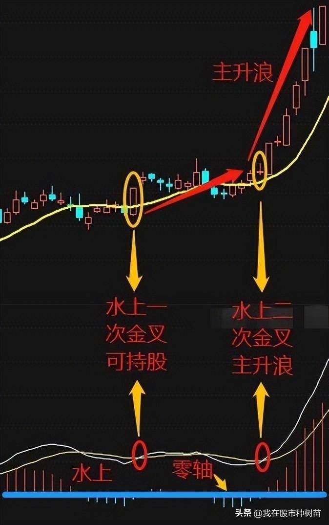 指标之王MACD隐藏技巧一