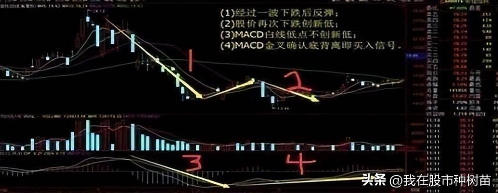 指标之王MACD隐藏技巧2