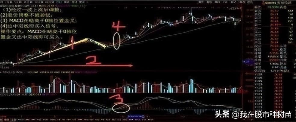 指标之王MACD隐藏技巧2