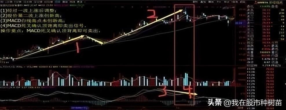 指标之王MACD隐藏技巧2