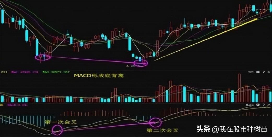 指标之王MACD隐藏技巧2