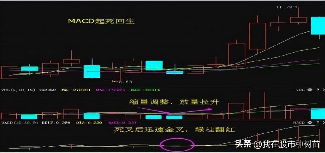 指标之王MACD隐藏技巧2