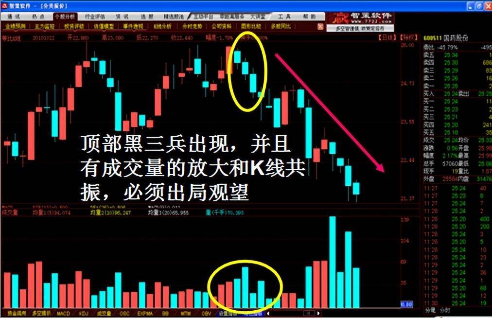 K线图经典图解全集2