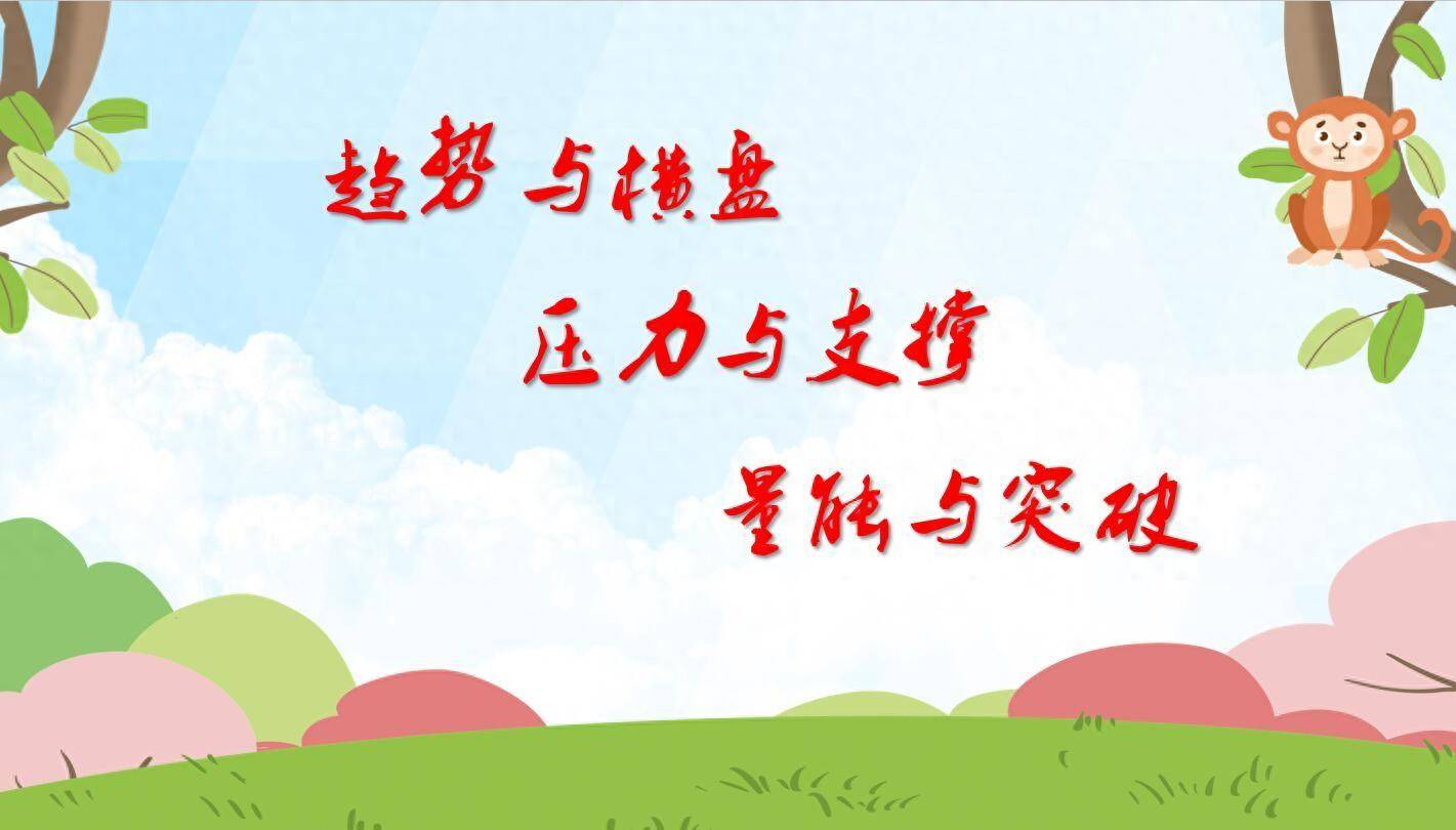 掌握股市中的二十条技术精华