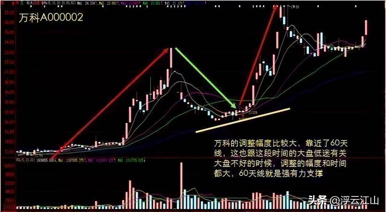 中国股市炒股最牛的人简单的事情重复做每天认真读三遍收藏