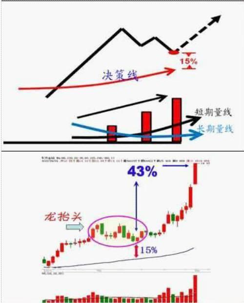 中国最赚钱的一种人盘口暗语解析主力意图看懂没有一个穷人!