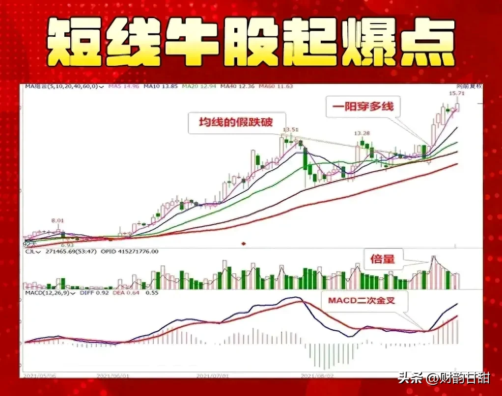 探寻股市的魅力