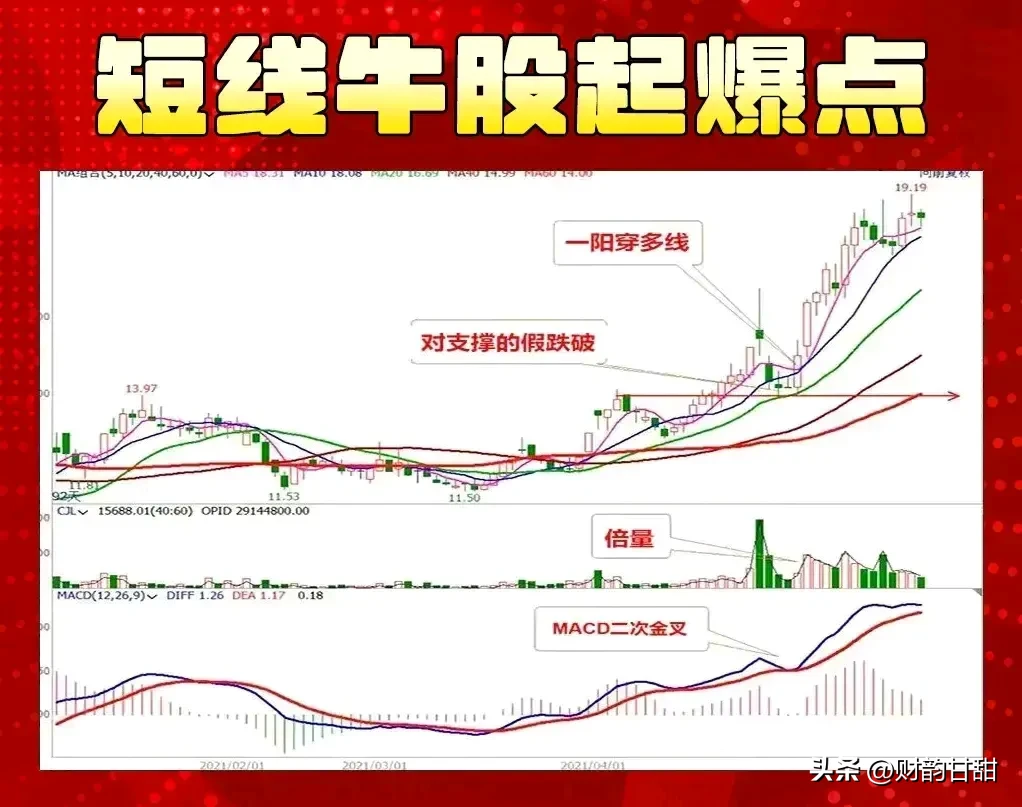 探寻股市的魅力
