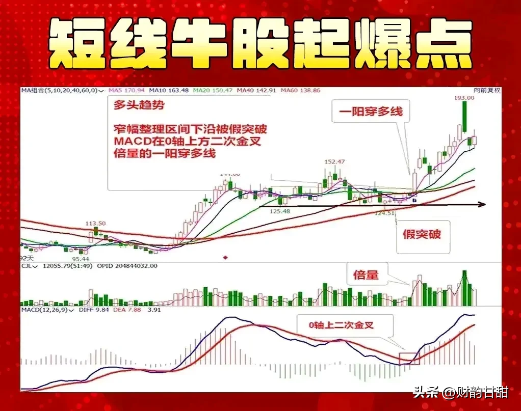 探寻股市的魅力