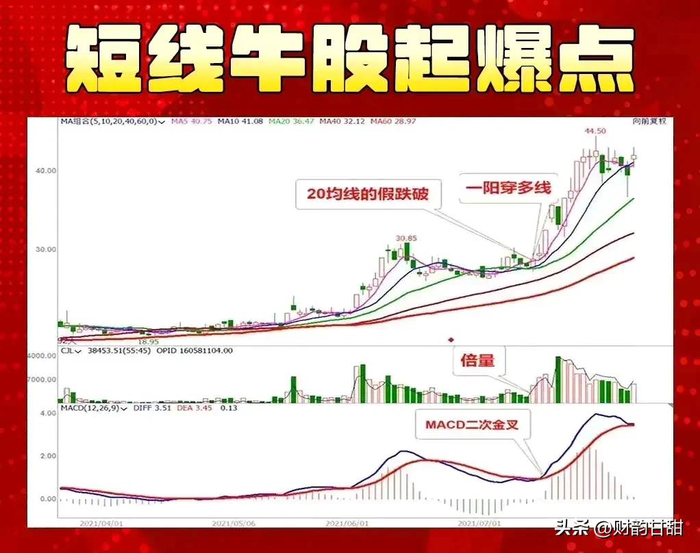 探寻股市的魅力