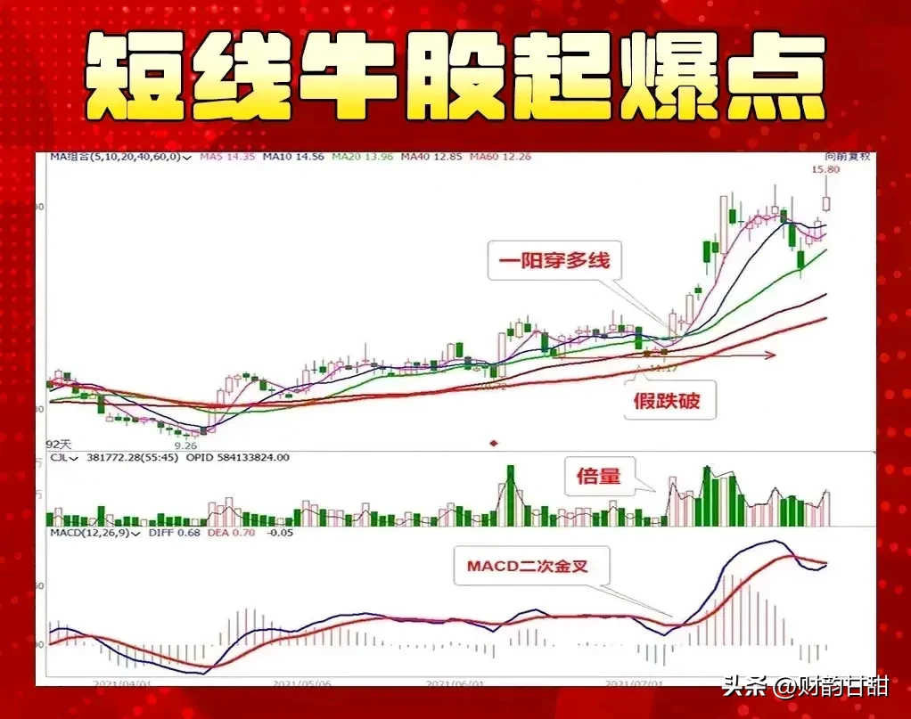 探寻股市的魅力