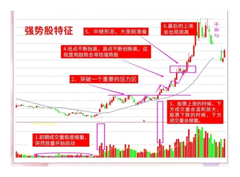 炒股不炒强势股，不如回家种红薯。