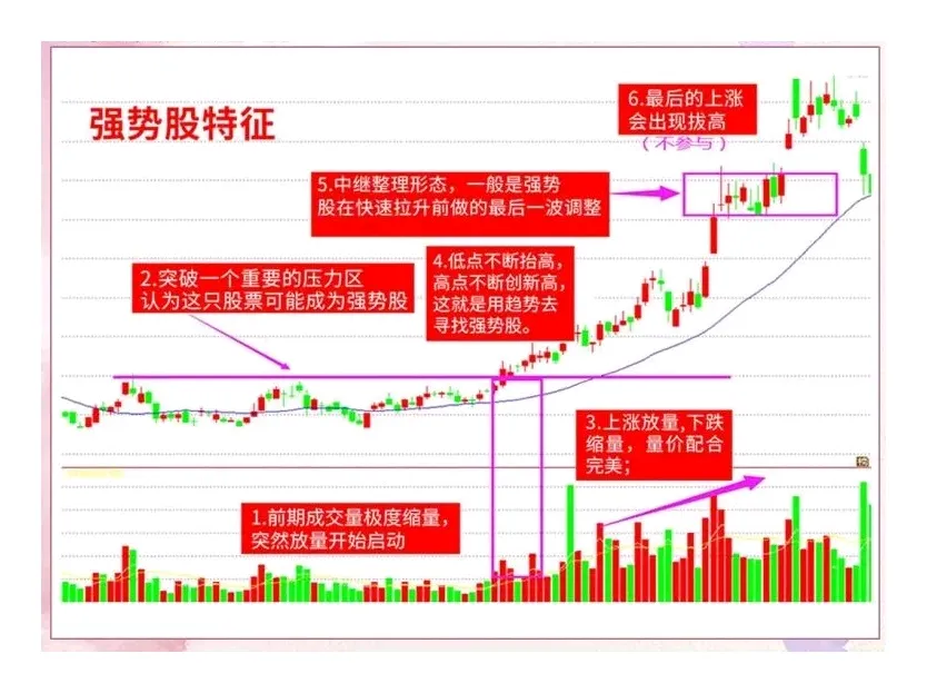 炒股不炒强势股，不如回家种红薯。