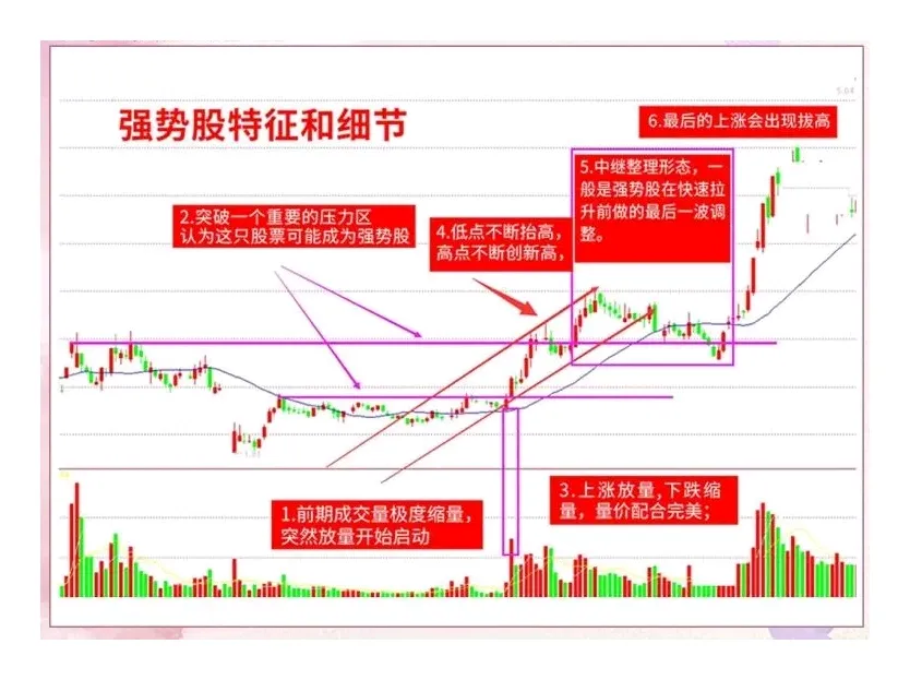 炒股不炒强势股，不如回家种红薯。