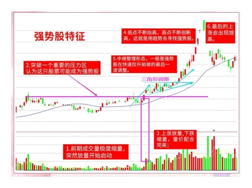 炒股不炒强势股，不如回家种红薯。