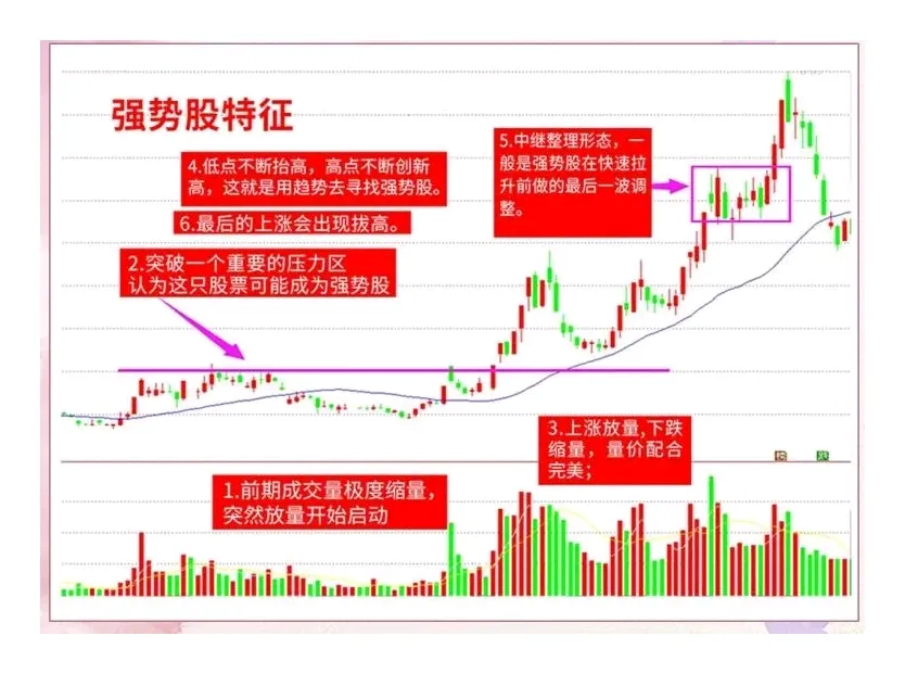炒股不炒强势股，不如回家种红薯。