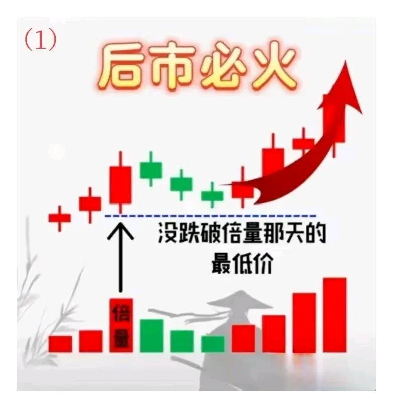 每日形态一学（调整不过前倍量）