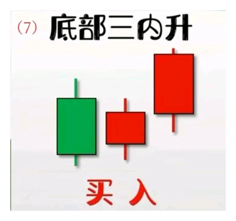 每日形态一学（底部三内升）